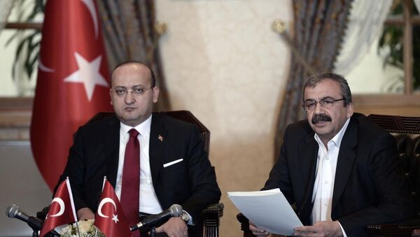 Başbakan Yardımcısı Yalçın Akdoğan - HDP İstanbul Milletvekili Sırrı Süreyya Önder - Sputnik Türkiye