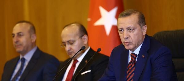 Cumhurbaşkanı Recep Tayyip Erdoğan - Sputnik Türkiye