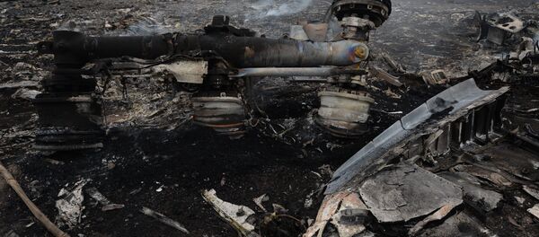 MH-17 enkazı - Sputnik Türkiye