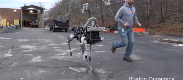 Evcillerin yerine robotlar geliyor - Sputnik Türkiye