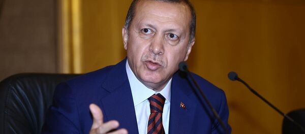 Cumhurbaşkanı Recep Tayyip Erdoğan - Sputnik Türkiye