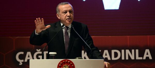 Cumhurbaşkanı Recep Tayyip Erdoğan Cumhurbaşkanı Recep Tayyip Erdoğan - Sputnik Türkiye