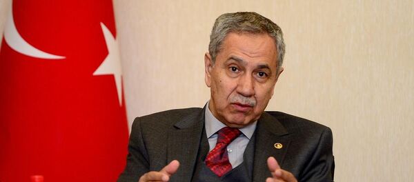 Başbakan Yardımcısı Bülent Arınç - Sputnik Türkiye