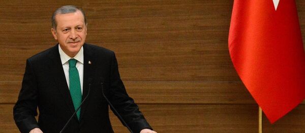 Cumhurbaşkanı Recep Tayyip Erdoğan - Sputnik Türkiye