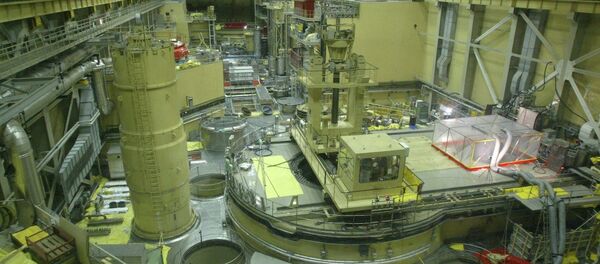 Paks nükleer santrali - Sputnik Türkiye