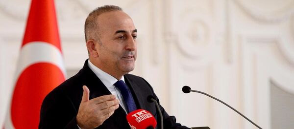 Dışişleri Bakanı Mevlüt Çavuşoğlu - Sputnik Türkiye