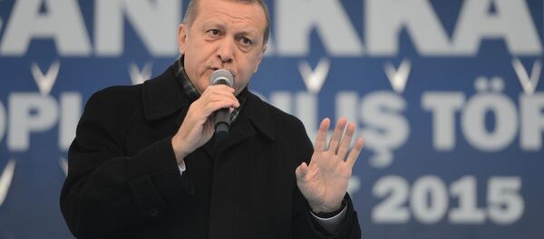 Cumhurbaşkanı Recep Tayyip Erdoğan - Sputnik Türkiye