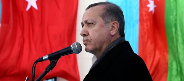 Cumhurbaşkanı Recep Tayyip Erdoğan - Sputnik Türkiye