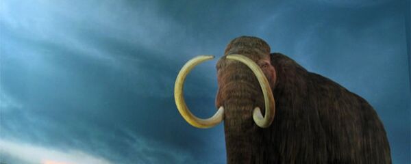 Yünlü mamutlar - Sputnik Türkiye