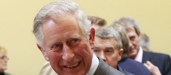 İngiltere Veliaht Prensi Charles - Sputnik Türkiye