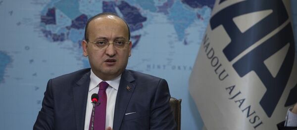 Başbakan Yardımcısı Yalçın Akdoğan - Sputnik Türkiye