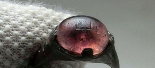 Vikingler, arkeolojik buluş - Sputnik Türkiye