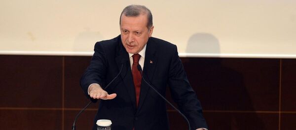 Cumhurbaşkanı Recep Tayyip Erdoğan - Sputnik Türkiye