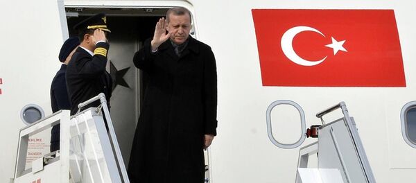 Cumhurbaşkanı Recep Tayyip Erdoğan - Sputnik Türkiye