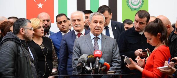 Başbakan Yardımcısı Bülent Arınç - Sputnik Türkiye