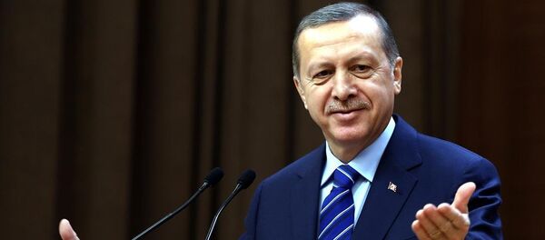 Cumhurbaşkanı Recep Tayyip Erdoğan - Sputnik Türkiye