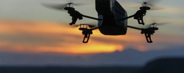 İnsansız Hava Aracı - Sputnik Türkiye