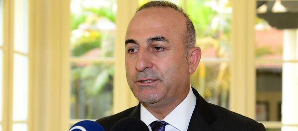 Dışişleri Bakanı Mevlüt Çavuşoğlu - Sputnik Türkiye