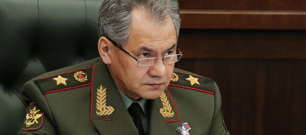Sergey Şoygu - Sputnik Türkiye