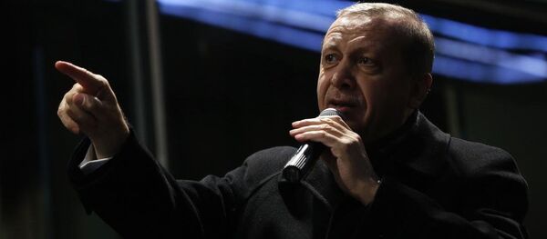 Türkiye Cumhurbaşkanı Recep Tayyip Erdoğan Türkiye Cumhurbaşkanı Recep Tayyip Erdoğan - Sputnik Türkiye