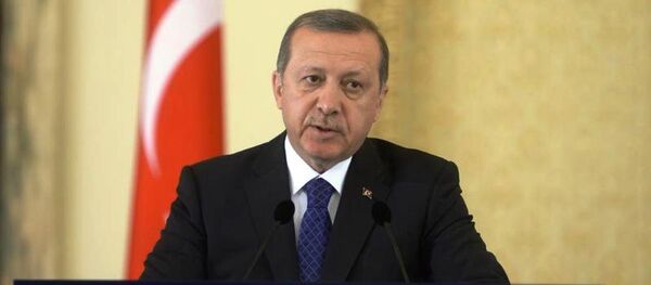 Cumhurbaşkanı Recep Tayyip Erdoğan - Sputnik Türkiye