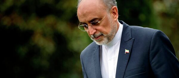 İran Atom Enerjisi Kurumu Başkanı Ali Ekber Salihi İran Atom Enerjisi Kurumu Başkanı Ali Ekber Salihi - Sputnik Türkiye