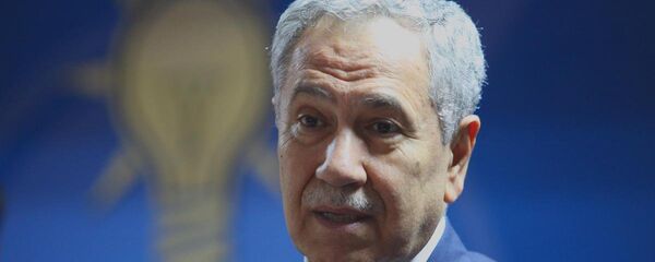 Başbakan Yardımcısı Bülent Arınç - Sputnik Türkiye