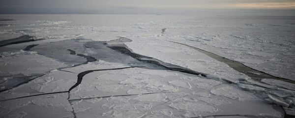 Arktika - Sputnik Türkiye