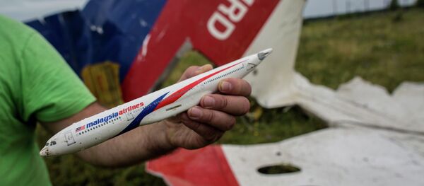Düşen Malezya uçağı - Sputnik Türkiye