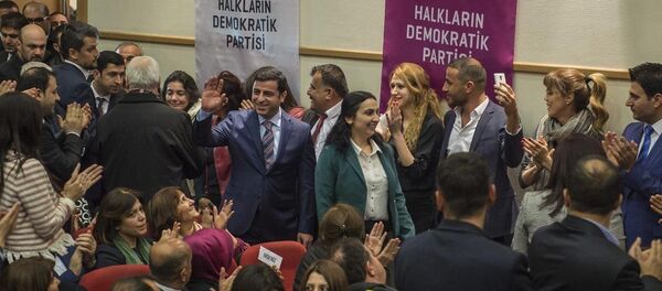 HDP Aday Tanıtım Toplantısı - Sputnik Türkiye