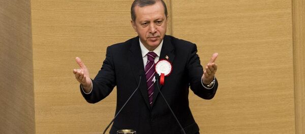 Cumhurbaşkanı Recep Tayyip Erdoğan - Sputnik Türkiye