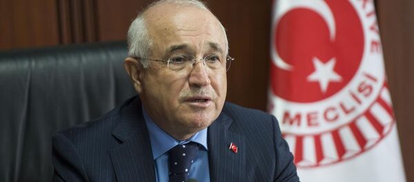 TBMM Başkanı Cemil Çiçek - Sputnik Türkiye