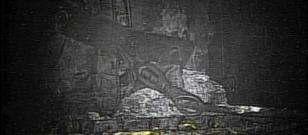 Fukuşima nükleer santrali - Sputnik Türkiye