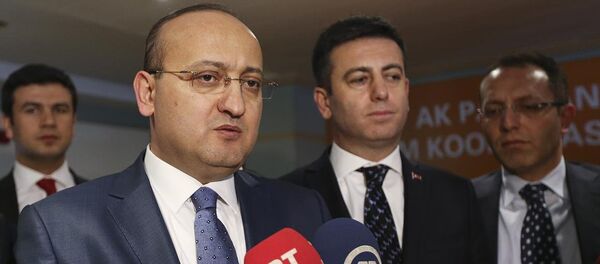 Başbakan Yardımcısı Yalçın Akdoğan - Sputnik Türkiye
