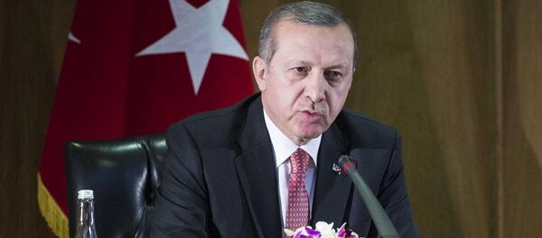 Cumhurbaşkanı Recep Tayyip Erdoğan - Sputnik Türkiye
