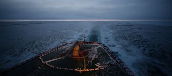 Arktika'da bilimsel araştırmaların yapılacağı yeni yüzen buz istasyonu - Sputnik Türkiye