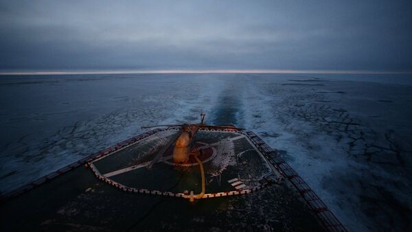 Arktika'da bilimsel araştırmaların yapılacağı yeni yüzen buz istasyonu - Sputnik Türkiye