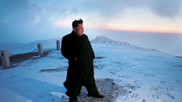 Kim Jong-il’in Paektu Dağı eteklerindeki bir köyde doğduğuna inanılıyor. Bu yüzden söz konusu dağ Kuzey Koreliler tarafından kutsal kabul ediliyor. - Sputnik Türkiye