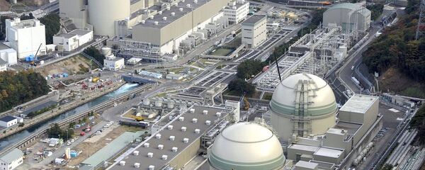 Fukuşima nükleer santrali - Sputnik Türkiye