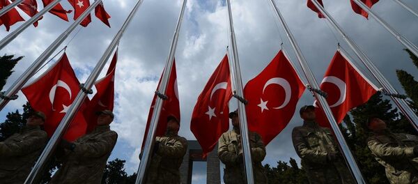 Çanakkale Kara Savaşları'nın 100. Yıl Dönümü - Sputnik Türkiye