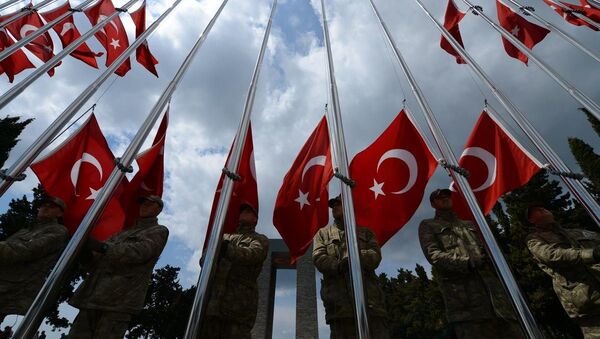 Çanakkale Kara Savaşları'nın 100. Yıl Dönümü - Sputnik Türkiye