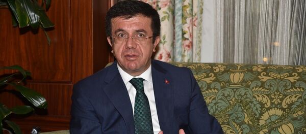 Ekonomi Bakanı Nihat Zeybekci - Sputnik Türkiye