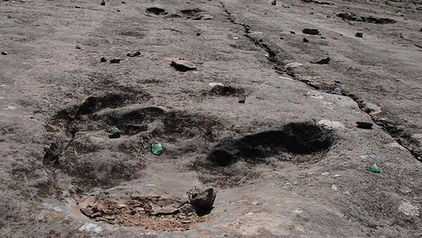 100 milyon yıllık 'dinozor yolu' bulundu - Sputnik Türkiye