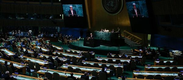 Nükleer Silahların Yayılmasını Önleme Anlaşması'nın (NPT) 2015 Gözden Geçirme Konferansı - Sputnik Türkiye