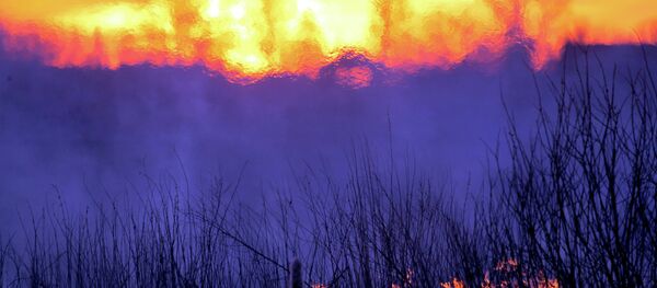 Çernobil nükleer santrali yakınlarındaki eski bir yangın - Sputnik Türkiye