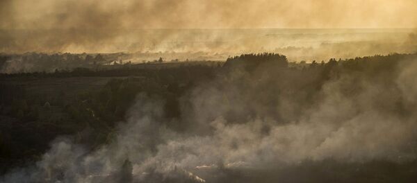 Çernobil nükleer santrali yakınlarındaki yangın - Sputnik Türkiye