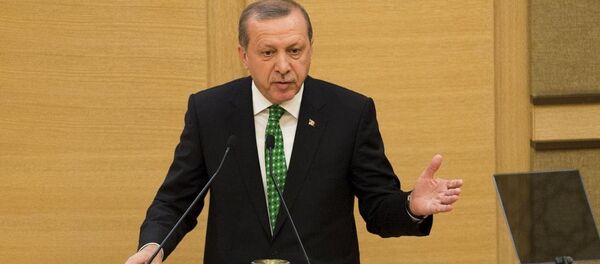 Recep Tayyip Erdoğan - Sputnik Türkiye