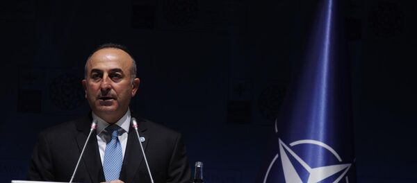Mevlüt Çavuşoğlu - Sputnik Türkiye