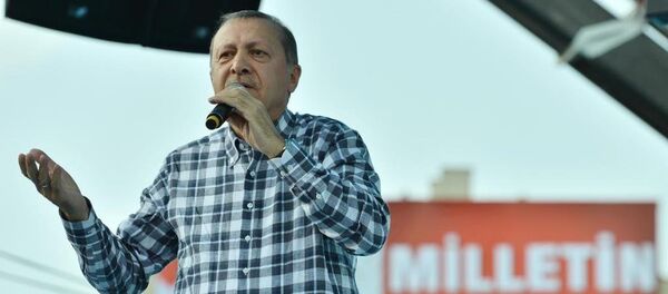 Türkiye Cumhurbaşkanı Recep Tayyip Erdoğan Türkiye Cumhurbaşkanı Recep Tayyip Erdoğan - Sputnik Türkiye