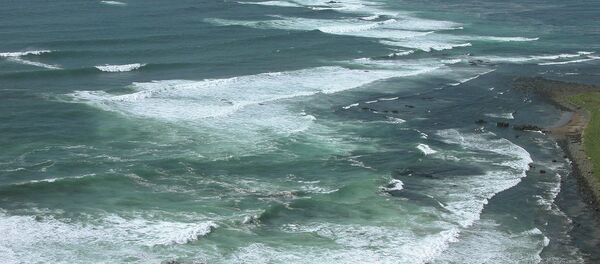 Kuril Adaları - Sputnik Türkiye